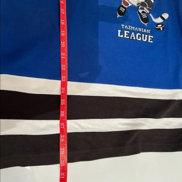 Vintage Warner Bros. Ice Demons Tazmanian League Hockey Jersey Mens XL